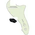 920D Custom 72 Thinline Tele Single Coil Loaded Pickguard With Texas Grit Pickups and Black Knobs Mint Green