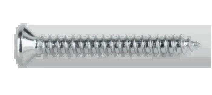 AMS Non Trem Bridge Screw for Bass
