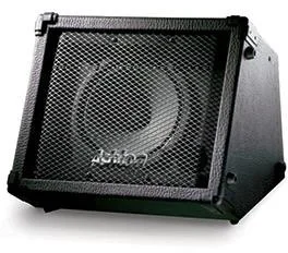 Ashton BSK158 (Anz) Busker Amp