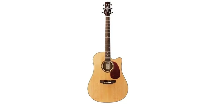 Ashton Dreadnought Guitar Pack Natural Mat L/H W/Bag D25