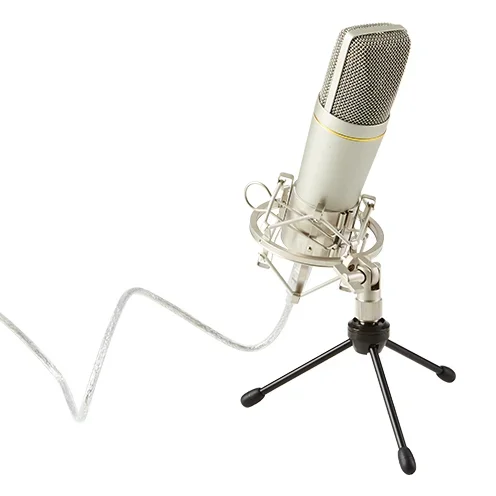 Ashton UM88 Usb Microphone
