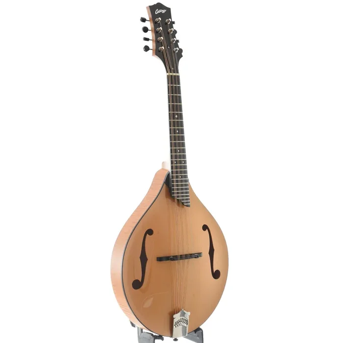 Collings MT Mandola & Case