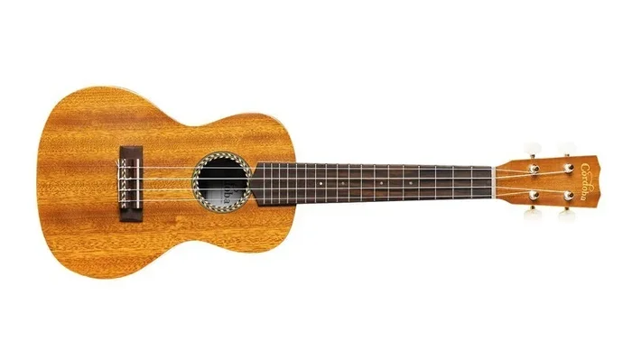 Cordoba 20CM Concert Ukulele
