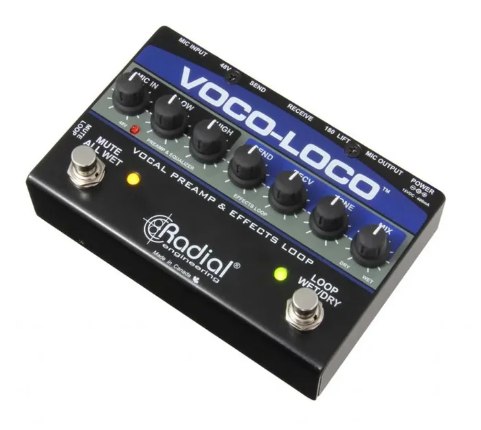 Effects Switcher for Voice or Instrument