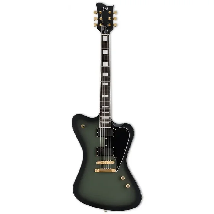 ESP LTD Sparrowhawk Electric Guitar