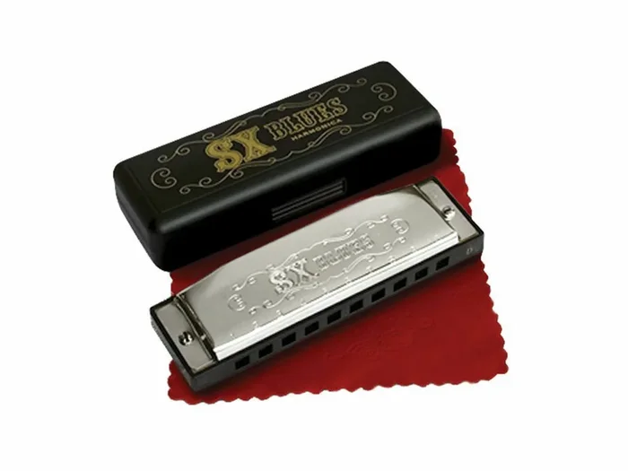Essex Diatonic Blues Harmonica Key D 10 Hole Harmonica With Case