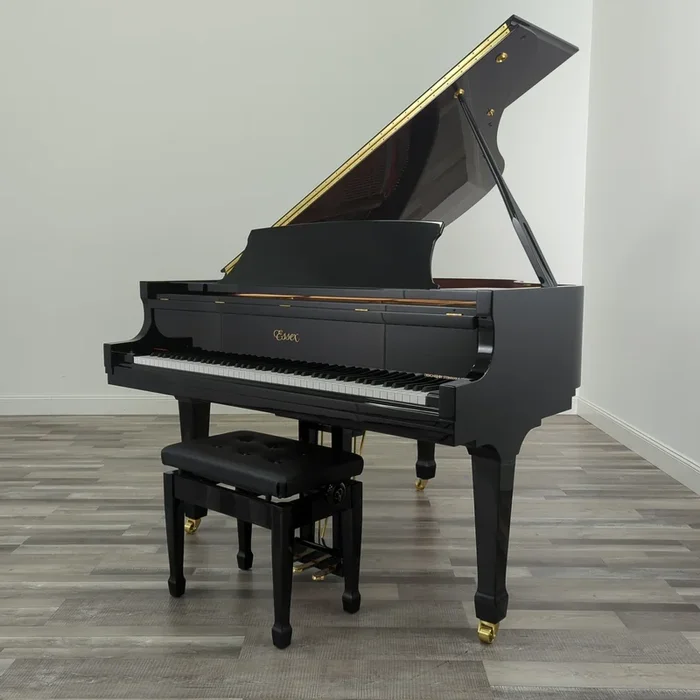 Essex EGP-155 (5’1 “) in Polished Ebony W/QRS Player System
