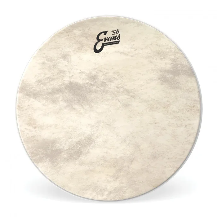 Evans 16″ EQ4 Calftone Drumhead