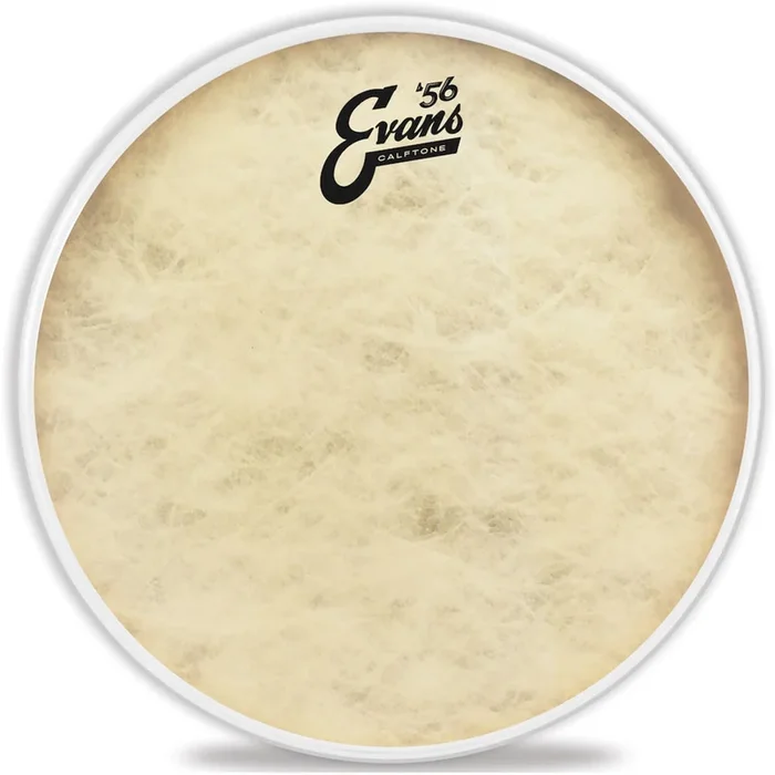 EVANS TT12C7 12 ” Calftone Drum Head