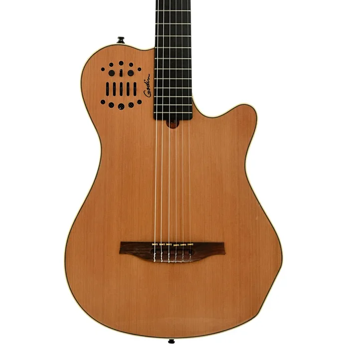 Godin Multiac Grand Concert SA Guitar with Roland GR-55 Synth (2017)
