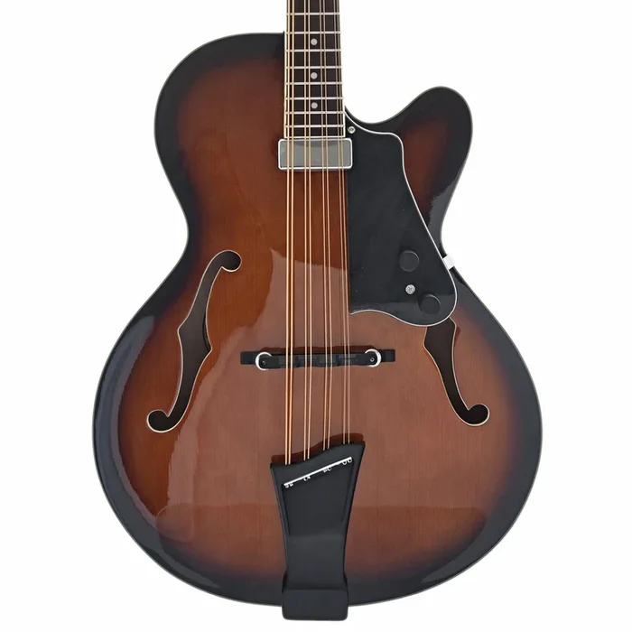 Gold Tone Acoustic-Electric Mandocello & Case