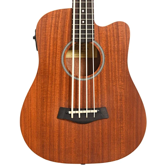 Gold Tone Acoustic-Electric MicroBass (2019)