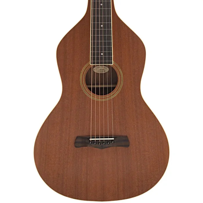 Gold Tone GT Weissenborn Guitar & Gigbag