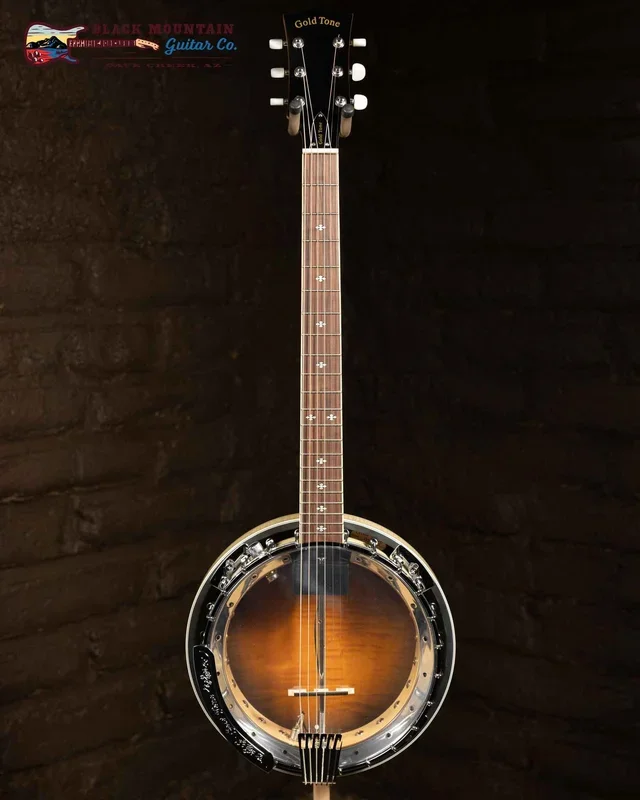 Goldtone GT-750: Banjitar Deluxe (Used)