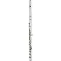 Haynes Q4 Classic Sterling Silver Flute Offset G, B-Foot, 14K Gold Riser