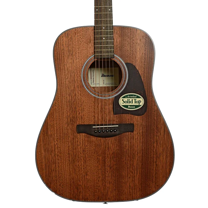 Ibanez Artwood Dreadnought Acoustic Guitar