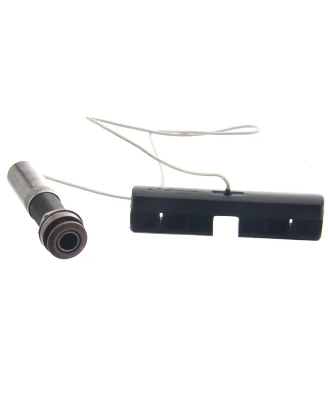 L.R. Baggs Ibeam Pickup