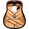 LR Baggs HiFi Duet Pickup and Microphone Mixing System Standard