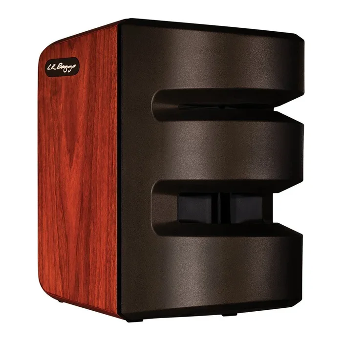 LR Baggs Synapse Personal PA System – 500W Class-D Amplifier, Dual Channels