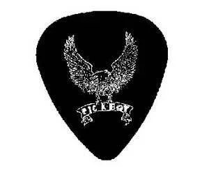 Pickboy Picks Eagle Ivory Med (25)