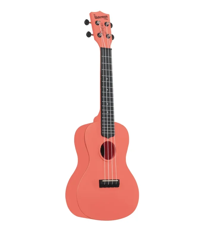 Pink Dusk Concert Waterman