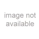 Raggetti RV7-ITO One-piece back Violin Only 4/4