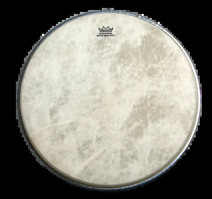 Remo 11 Inch Banjo Head Fiberskyn High Collar – Diplomat FS3