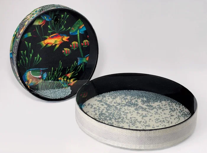 REMO PERCUSSION – 12 Inch Ocean Drum Pre-tuned, Metal Beads, Fish Graphic