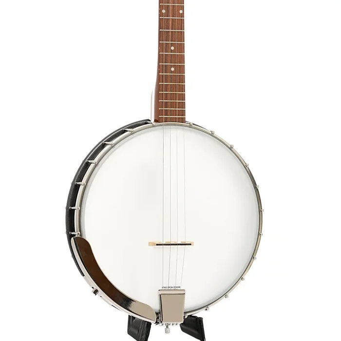 Rover RB-20P Plectrum Openback Banjo (2020)