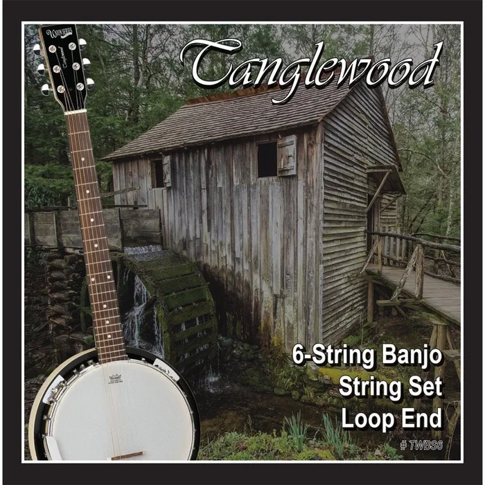 Tanglewood TWBS6 6-String Banjo String Set – Loop End
