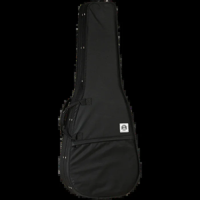 Tanglewood TWSFC Dreadnought Foam Case