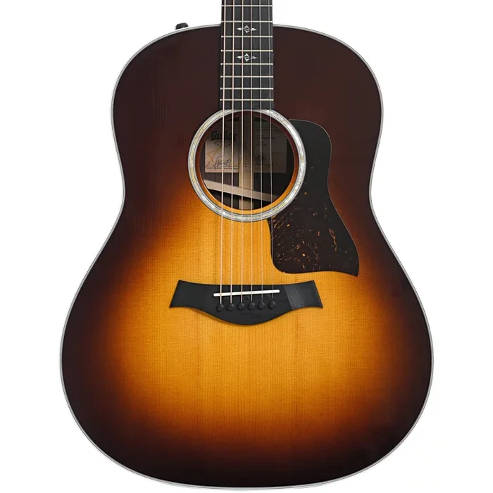 Taylor 417e Acoustic Guitar & Case