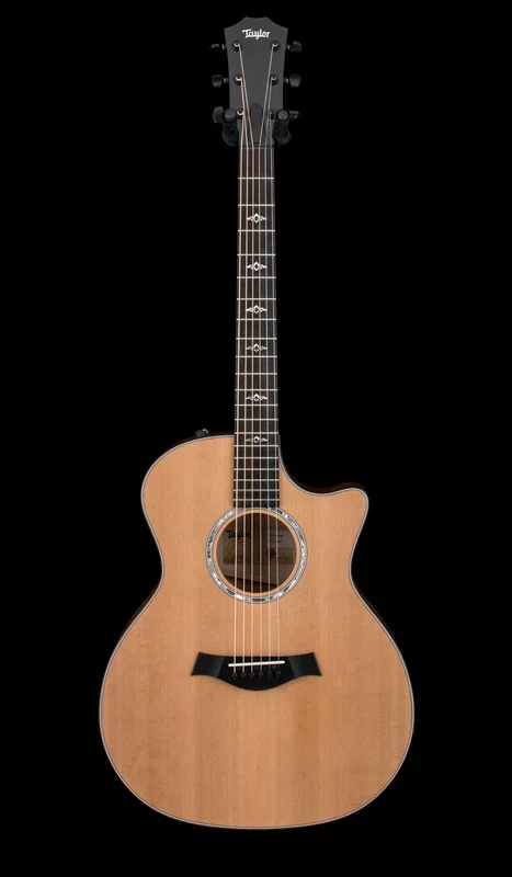 Taylor Custom Shop Select 414ce Big Leaf Maple/Western Red Cedar, Tort Binding #43056