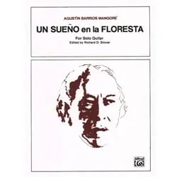 Un Sueno en la Floresta – Classical Guitar