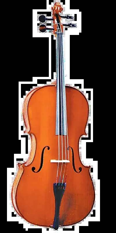 Valencia 4/4 Size Cello Outfit Traditional Chestnut with Solid Carved Top and Bow