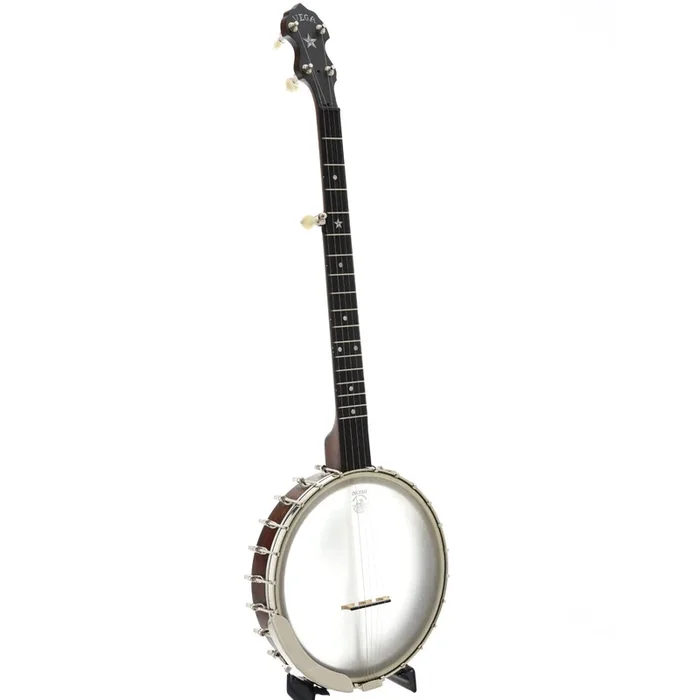 Vega Senator & Case by Deering, Scooped Fretboard